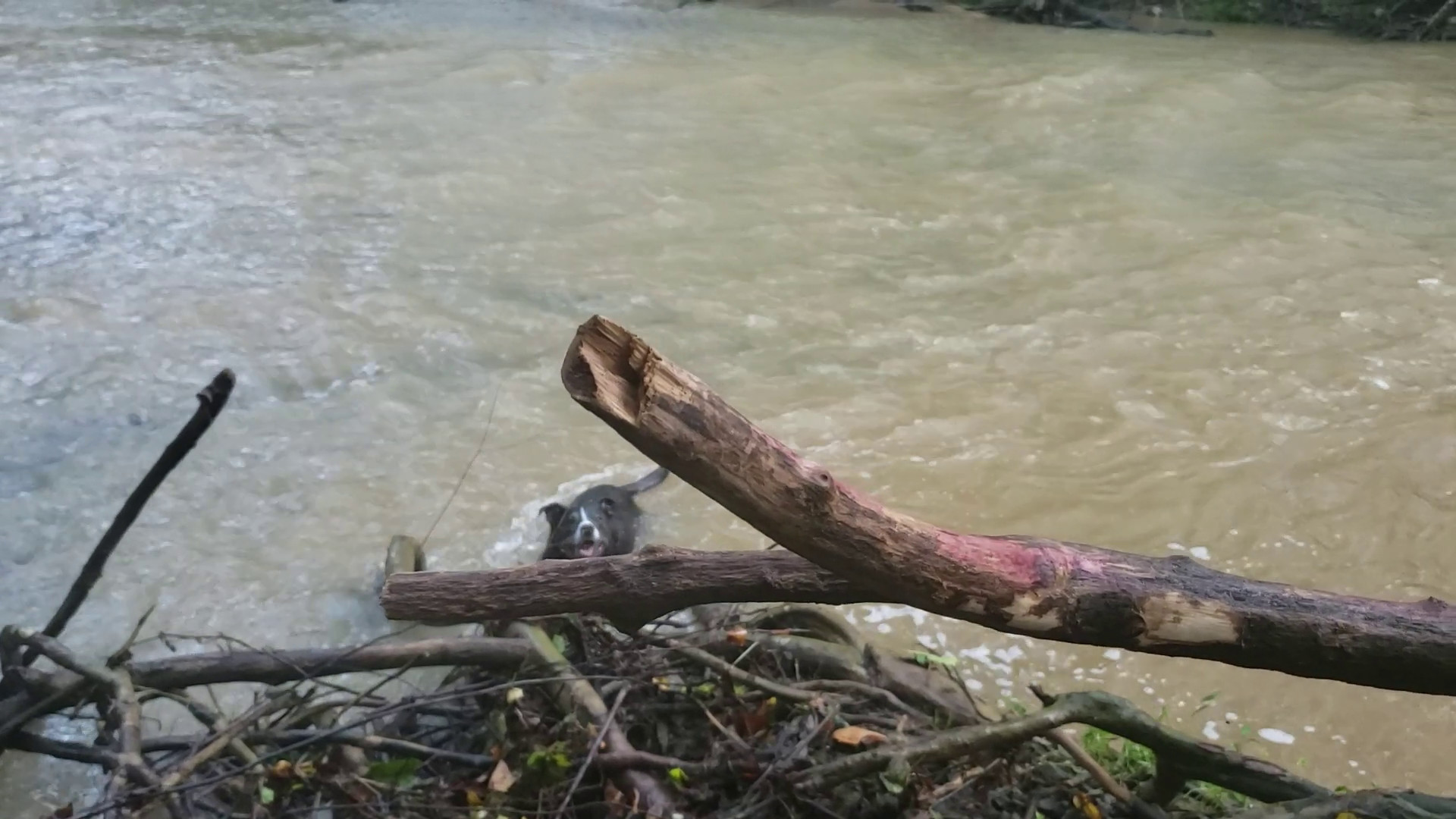 Splashing Around